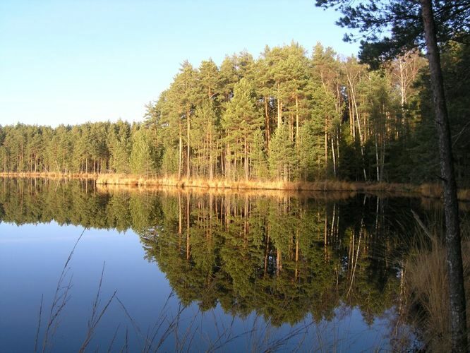 Maakond: Tartumaa Veekogu nimi: Valguta Mustjärv Pildistamise aeg: november 2011 Pildistaja: H. Timm Pildistamise koht: teadmata Asimuut: