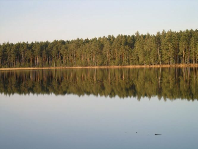 Maakond: Tartumaa Veekogu nimi: Valguta Mustjärv Pildistamise aeg: november 2011 Pildistaja: H. Timm Pildistamise koht: teadmata Asimuut: