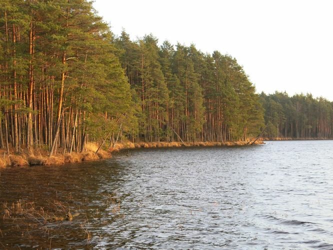 Maakond: Tartumaa Veekogu nimi: Valguta Mustjärv Pildistamise aeg: 25. detsember 2013 Pildistaja: H. Timm Pildistamise koht: teadmata Asimuut: