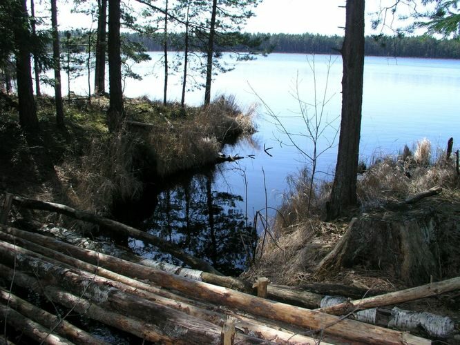 Maakond: Tartumaa Veekogu nimi: Valguta Mustjärve väljavool Pildistamise aeg: 16. oktoober 2005 Pildistaja: H. Timm Pildistamise koht: teadmata Asimuut: