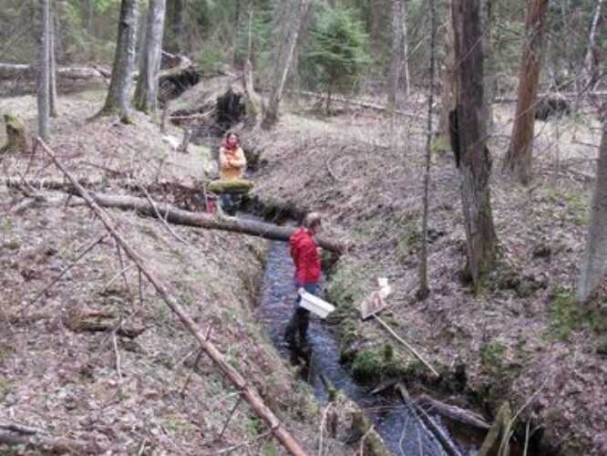 Maakond: Tartumaa Veekogu nimi: Valguta Mustjärve väljavool Pildistamise aeg: 30. aprill 2011 Pildistaja: H. Timm Pildistamise koht: teadmata Asimuut: