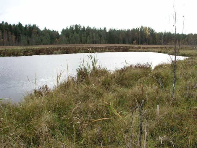 Maakond: Tartumaa Veekogu nimi: Valguta Valgjärv Pildistamise aeg: 16. oktoober 2005 Pildistaja: H. Timm Pildistamise koht: teadmata Asimuut: