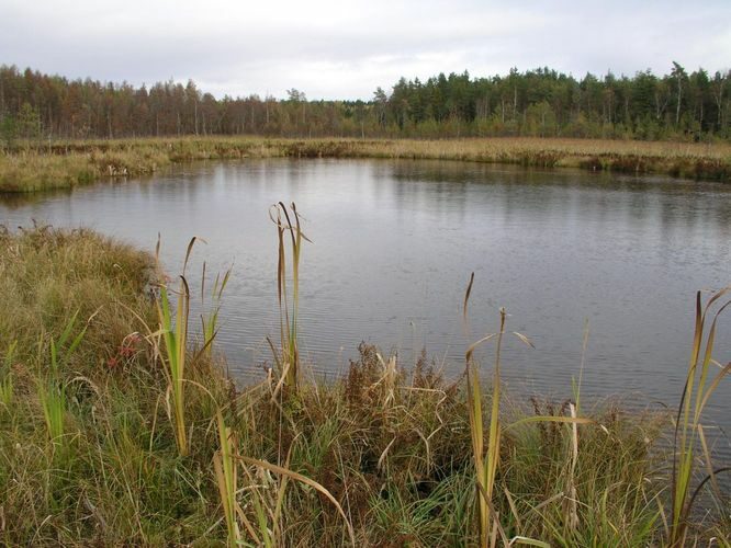 Maakond: Tartumaa Veekogu nimi: Valguta Valgjärv Pildistamise aeg: 16. oktoober 2005 Pildistaja: H. Timm Pildistamise koht: teadmata Asimuut: