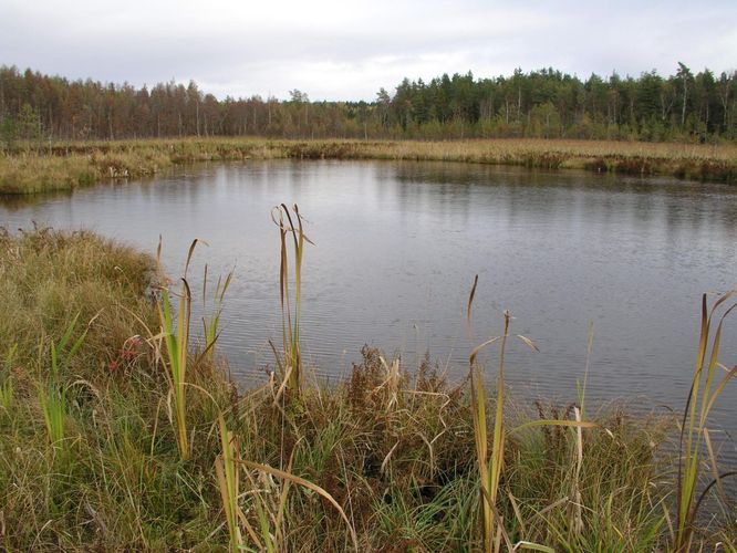 Maakond: Tartumaa Veekogu nimi: Valguta Valgjärv Pildistamise aeg: 16. oktoober 2005 Pildistaja: H. Timm Pildistamise koht: teadmata Asimuut: