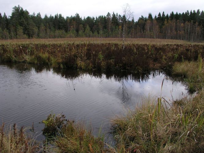 Maakond: Tartumaa Veekogu nimi: Valguta Valgjärv Pildistamise aeg: 16. oktoober 2005 Pildistaja: H. Timm Pildistamise koht: teadmata Asimuut: