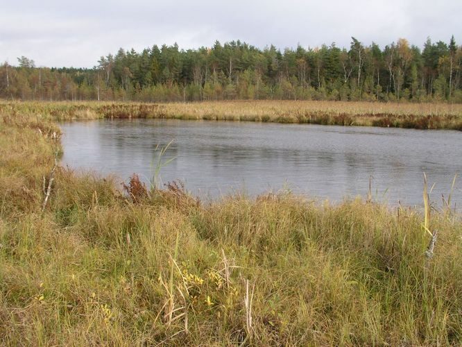 Maakond: Tartumaa Veekogu nimi: Valguta Valgjärv Pildistamise aeg: 16. oktoober 2005 Pildistaja: H. Timm Pildistamise koht: teadmata Asimuut: