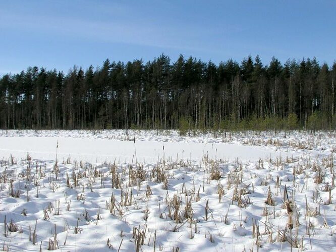 Maakond: Tartumaa Veekogu nimi: Valguta Valgjärv Pildistamise aeg: 25. veebruar 2007 Pildistaja: H. Timm Pildistamise koht: teadmata Asimuut: