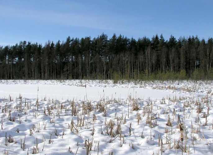 Maakond: Tartumaa Veekogu nimi: Valguta Valgjärv Pildistamise aeg: 25. veebruar 2007 Pildistaja: H. Timm Pildistamise koht: teadmata Asimuut: