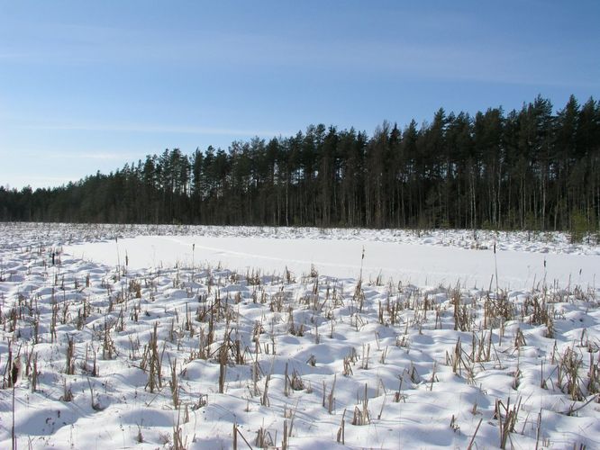 Maakond: Tartumaa Veekogu nimi: Valguta Valgjärv Pildistamise aeg: 25. veebruar 2007 Pildistaja: H. Timm Pildistamise koht: teadmata Asimuut: