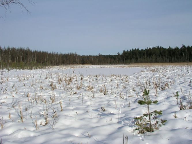 Maakond: Tartumaa Veekogu nimi: Valguta Valgjärv Pildistamise aeg: 25. veebruar 2007 Pildistaja: H. Timm Pildistamise koht: teadmata Asimuut: