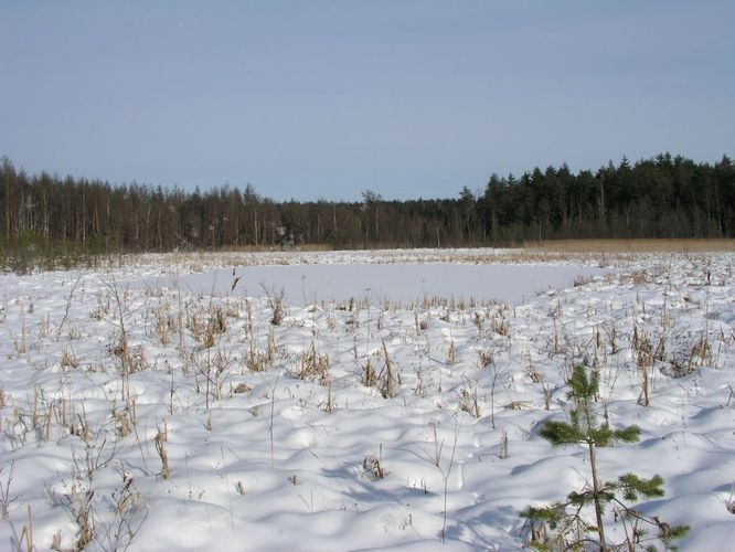 Maakond: Tartumaa Veekogu nimi: Valguta Valgjärv Pildistamise aeg: 25. veebruar 2007 Pildistaja: H. Timm Pildistamise koht: teadmata Asimuut: