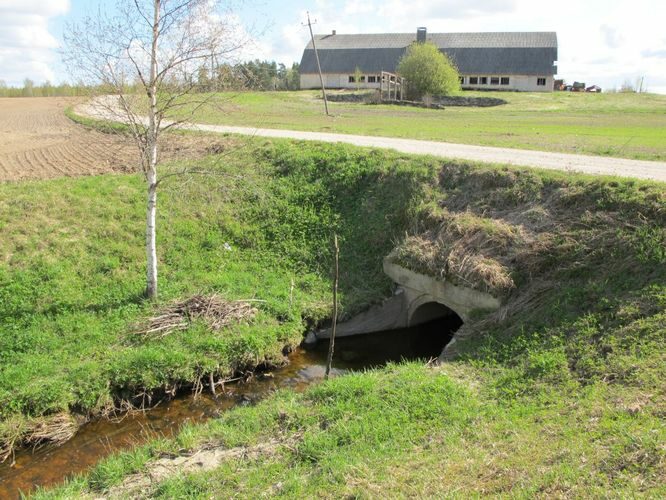 Maakond: Tartumaa Veekogu nimi: Valguta oja Pildistamise aeg: 1. mai 2011 Pildistaja: H. Timm Pildistamise koht: Kipastu Asimuut: