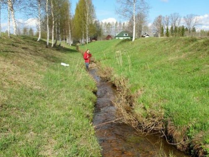 Maakond: Tartumaa Veekogu nimi: Valguta oja Pildistamise aeg: 1. mai 2011 Pildistaja: H. Timm Pildistamise koht: Kipastu Asimuut: