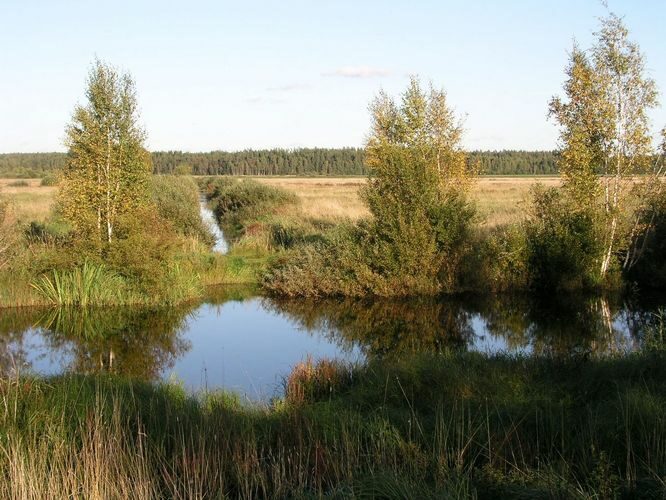 Maakond: Tartumaa Veekogu nimi: Valguta polder Pildistamise aeg: 20. september 2009 Pildistaja: H. Timm Pildistamise koht: teadmata Asimuut: