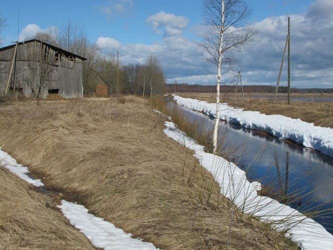 Maakond: Tartumaa Veekogu nimi: Valguta polder Pildistamise aeg: 10. aprill 2011 Pildistaja: H. Timm Pildistamise koht: teadmata Asimuut: