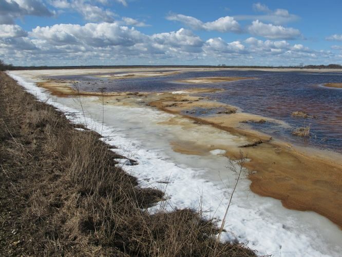 Maakond: Tartumaa Veekogu nimi: Valguta polder Pildistamise aeg: 10. aprill 2011 Pildistaja: H. Timm Pildistamise koht: teadmata Asimuut: