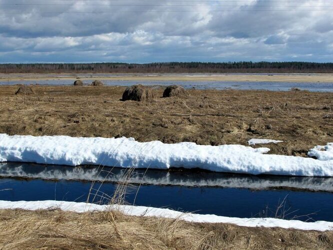 Maakond: Tartumaa Veekogu nimi: Valguta polder Pildistamise aeg: 10. aprill 2011 Pildistaja: H. Timm Pildistamise koht: teadmata Asimuut: