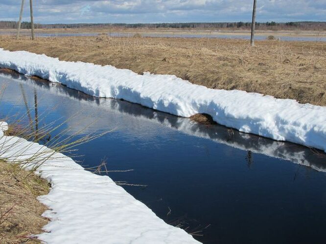 Maakond: Tartumaa Veekogu nimi: Valguta polder Pildistamise aeg: 10. aprill 2011 Pildistaja: H. Timm Pildistamise koht: teadmata Asimuut: