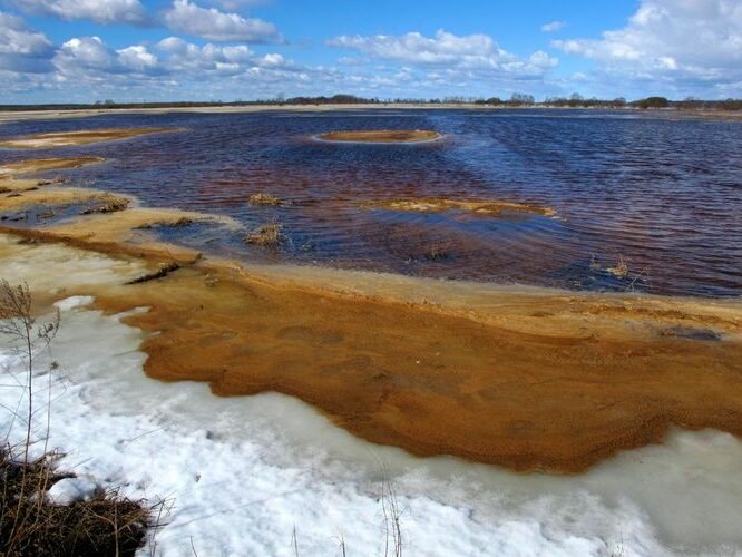 Maakond: Tartumaa Veekogu nimi: Valguta polder Pildistamise aeg: 10. aprill 2011 Pildistaja: H. Timm Pildistamise koht: teadmata Asimuut: