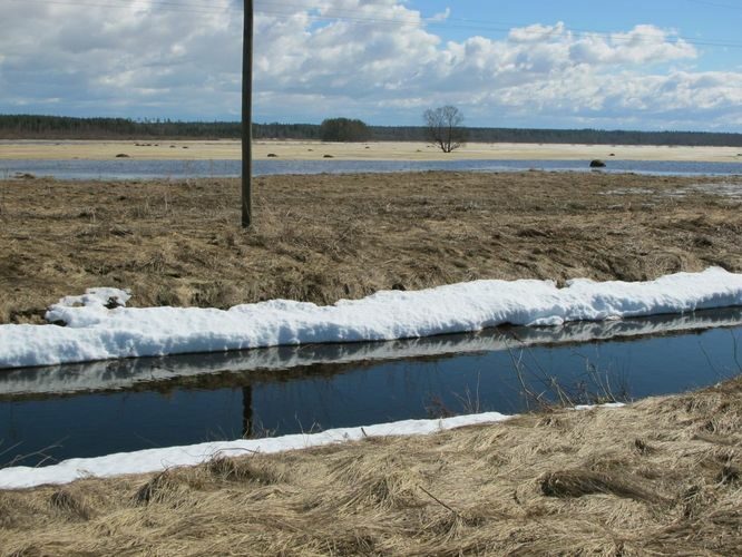 Maakond: Tartumaa Veekogu nimi: Valguta polder Pildistamise aeg: 10. aprill 2011 Pildistaja: H. Timm Pildistamise koht: teadmata Asimuut: