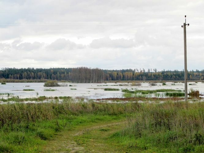 Maakond: Tartumaa Veekogu nimi: Valguta polder Pildistamise aeg: 16. oktoober 2011 Pildistaja: H. Timm Pildistamise koht: teadmata Asimuut: