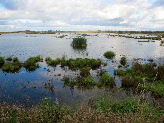 Maakond: Tartumaa Veekogu nimi: Valguta polder Pildistamise aeg: 16. oktoober 2011 Pildistaja: H. Timm Pildistamise koht: teadmata Asimuut: