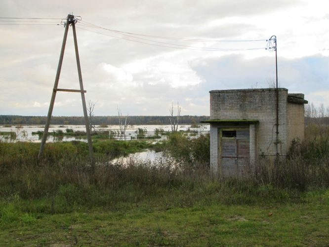 Maakond: Tartumaa Veekogu nimi: Valguta polder Pildistamise aeg: 16. oktoober 2011 Pildistaja: H. Timm Pildistamise koht: teadmata Asimuut: