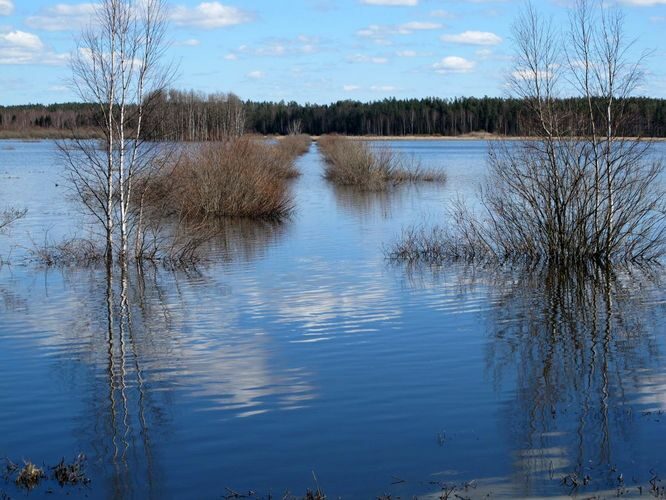 Maakond: Tartumaa Veekogu nimi: Valguta polder Pildistamise aeg: 15. aprill 2012 Pildistaja: H. Timm Pildistamise koht: teadmata Asimuut: