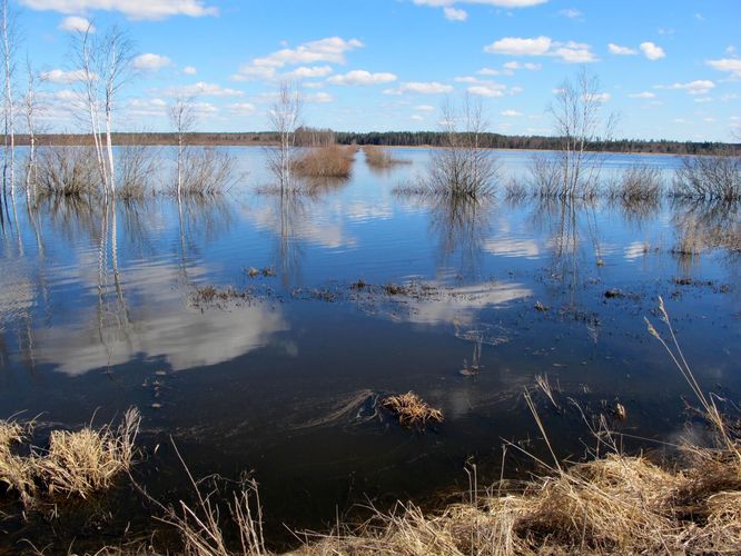 Maakond: Tartumaa Veekogu nimi: Valguta polder Pildistamise aeg: 15. aprill 2012 Pildistaja: H. Timm Pildistamise koht: teadmata Asimuut: