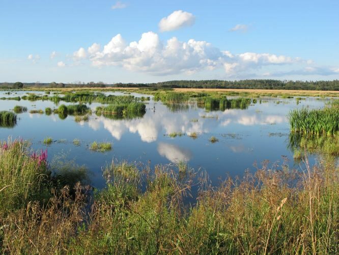 Maakond: Tartumaa Veekogu nimi: Valguta polder Pildistamise aeg: 1. august 2012 Pildistaja: H. Timm Pildistamise koht: teadmata Asimuut: