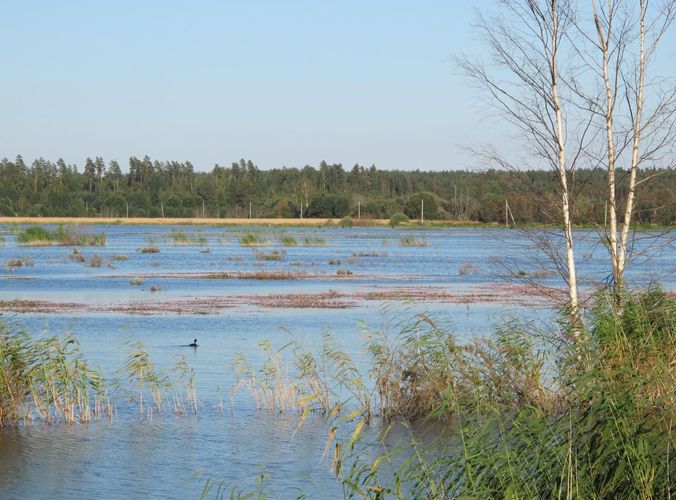 Maakond: Tartumaa Veekogu nimi: Valguta polder Pildistamise aeg: 1. august 2012 Pildistaja: H. Timm Pildistamise koht: teadmata Asimuut: