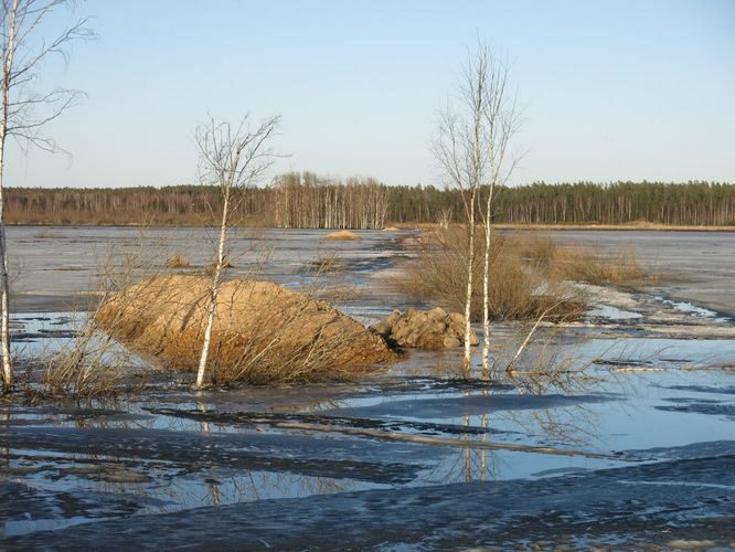 Maakond: Tartumaa Veekogu nimi: Valguta polder Pildistamise aeg: 21. aprill 2013 Pildistaja: H. Timm Pildistamise koht: teadmata Asimuut: