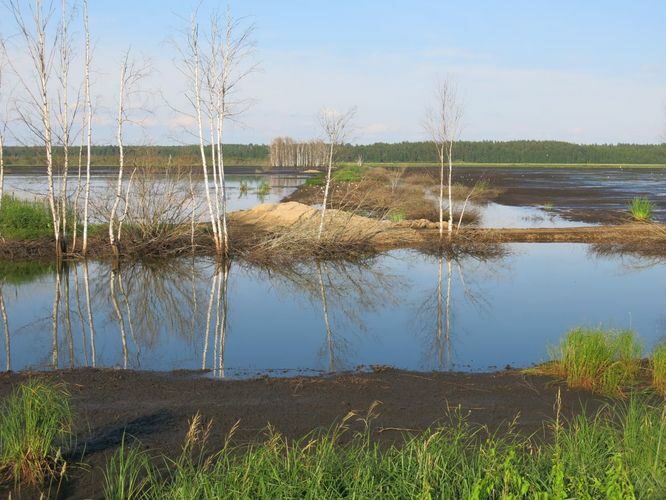 Maakond: Tartumaa Veekogu nimi: Valguta polder Pildistamise aeg: 30. juuni 2013 Pildistaja: H. Timm Pildistamise koht: teadmata Asimuut: