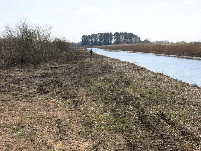 Maakond: Tartumaa Veekogu nimi: Valguta polder Pildistamise aeg: 20. aprill 2014 Pildistaja: H. Timm Pildistamise koht: teadmata Asimuut: