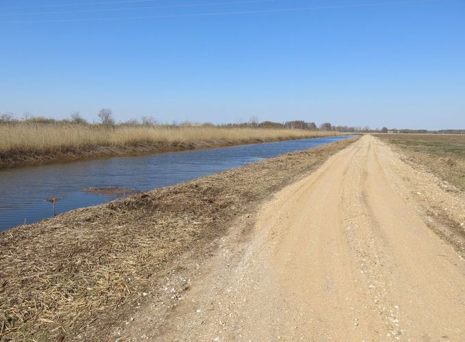 Maakond: Tartumaa Veekogu nimi: Valguta polder Pildistamise aeg: 20. aprill 2014 Pildistaja: H. Timm Pildistamise koht: teadmata Asimuut: