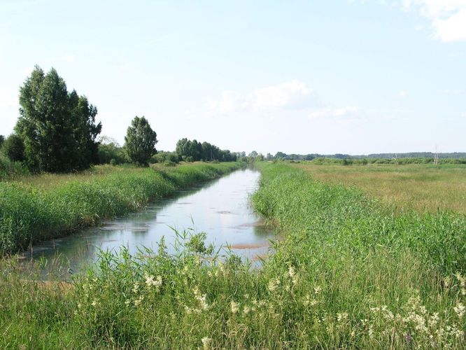 Maakond: Tartumaa Veekogu nimi: Valguta poldri peakanal Pildistamise aeg: 8. juuli 2005 Pildistaja: H. Timm Pildistamise koht: teadmata Asimuut: