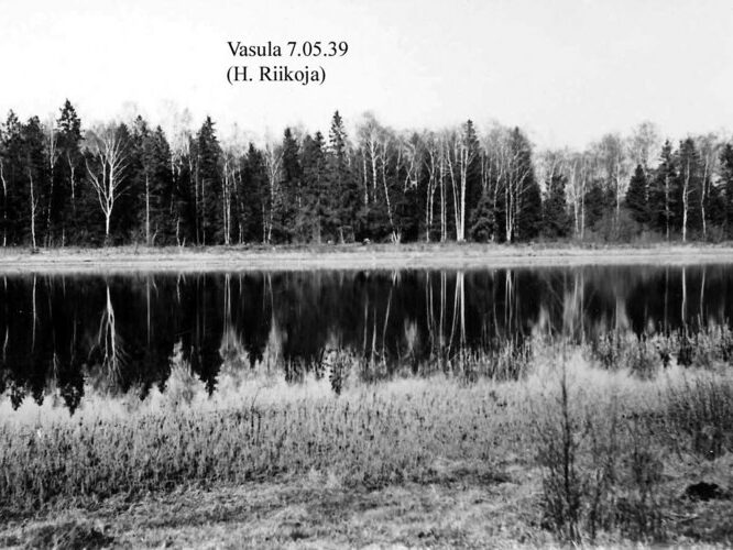 Maakond: Tartumaa Veekogu nimi: Vasula järv Pildistamise aeg: 7. mai 1939 Pildistaja: H. Riikoja Pildistamise koht: W kaldalt Asimuut: ENE