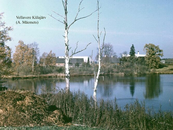 Maakond: Tartumaa Veekogu nimi: Vellavere Külajärv Pildistamise aeg: teadmata Pildistaja: A. Mäemets Pildistamise koht: N kaldalt piki W kallast Asimuut: S