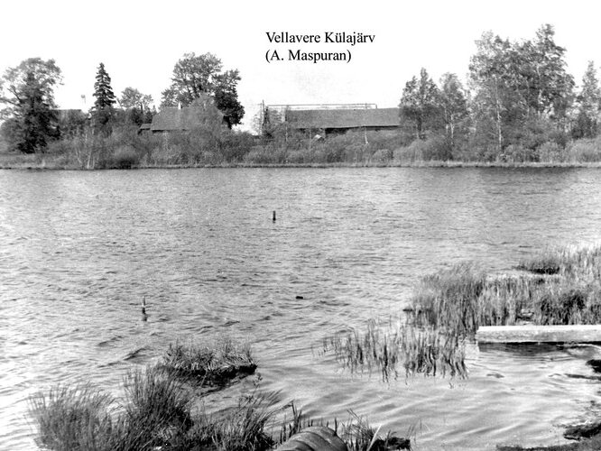 Maakond: Tartumaa Veekogu nimi: Vellavere Külajärv Pildistamise aeg: teadmata Pildistaja: A. Maspuran Pildistamise koht: S kaldalt Asimuut: NNE