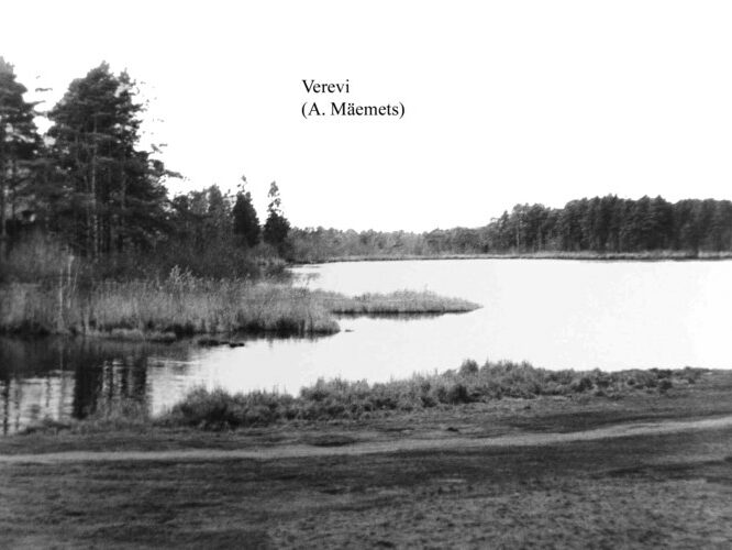 Maakond: Tartumaa Veekogu nimi: Verevi järv Pildistamise aeg: 1973 Pildistaja: A. Mäemets Pildistamise koht: S-nurgast Asimuut: WNW