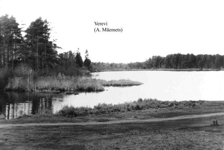 Maakond: Tartumaa Veekogu nimi: Verevi järv Pildistamise aeg: 1973 Pildistaja: A. Mäemets Pildistamise koht: S-nurgast Asimuut: WNW