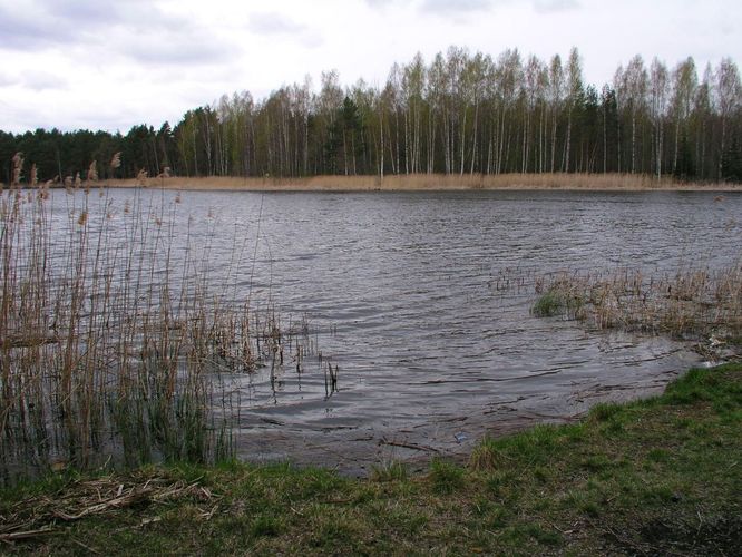 Maakond: Tartumaa Veekogu nimi: Verevi järv Pildistamise aeg: 11. mai 2005 Pildistaja: H. Timm Pildistamise koht: teadmata Asimuut: