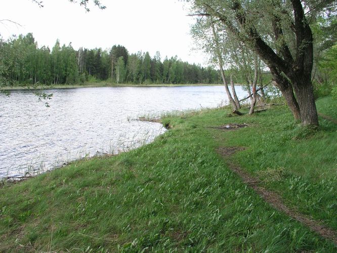 Maakond: Tartumaa Veekogu nimi: Verevi järv Pildistamise aeg: 24. mai 2006 Pildistaja: H. Timm Pildistamise koht: teadmata Asimuut: