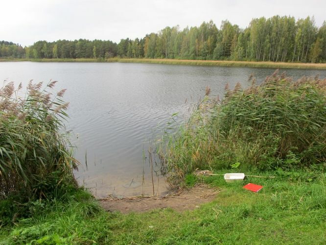 Maakond: Tartumaa Veekogu nimi: Verevi järv Pildistamise aeg: 18. september 2012 Pildistaja: H. Timm Pildistamise koht: teadmata Asimuut: