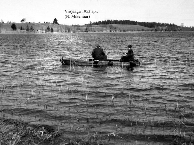 Maakond: Tartumaa Veekogu nimi: Viisjaagu järv Pildistamise aeg: aprill 1953 Pildistaja: N. Mikelsaar Pildistamise koht: teadmata Asimuut: