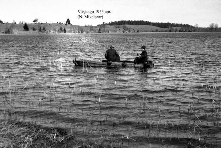 Maakond: Tartumaa Veekogu nimi: Viisjaagu järv Pildistamise aeg: aprill 1953 Pildistaja: N. Mikelsaar Pildistamise koht: teadmata Asimuut: