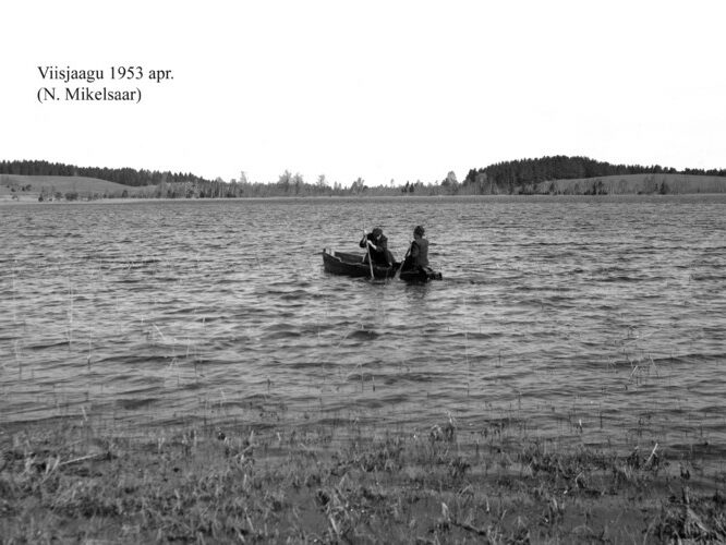 Maakond: Tartumaa Veekogu nimi: Viisjaagu järv Pildistamise aeg: aprill 1953 Pildistaja: N. Mikelsaar Pildistamise koht: teadmata Asimuut: