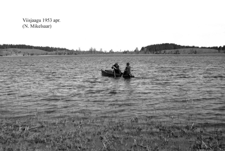 Maakond: Tartumaa Veekogu nimi: Viisjaagu järv Pildistamise aeg: aprill 1953 Pildistaja: N. Mikelsaar Pildistamise koht: teadmata Asimuut: