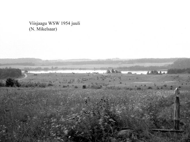 Maakond: Tartumaa Veekogu nimi: Viisjaagu järv Pildistamise aeg: juuli 1954 Pildistaja: N. Mikelsaar Pildistamise koht: teadmata Asimuut: