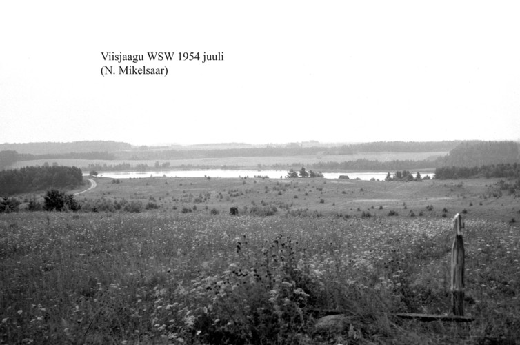 Maakond: Tartumaa Veekogu nimi: Viisjaagu järv Pildistamise aeg: juuli 1954 Pildistaja: N. Mikelsaar Pildistamise koht: teadmata Asimuut: